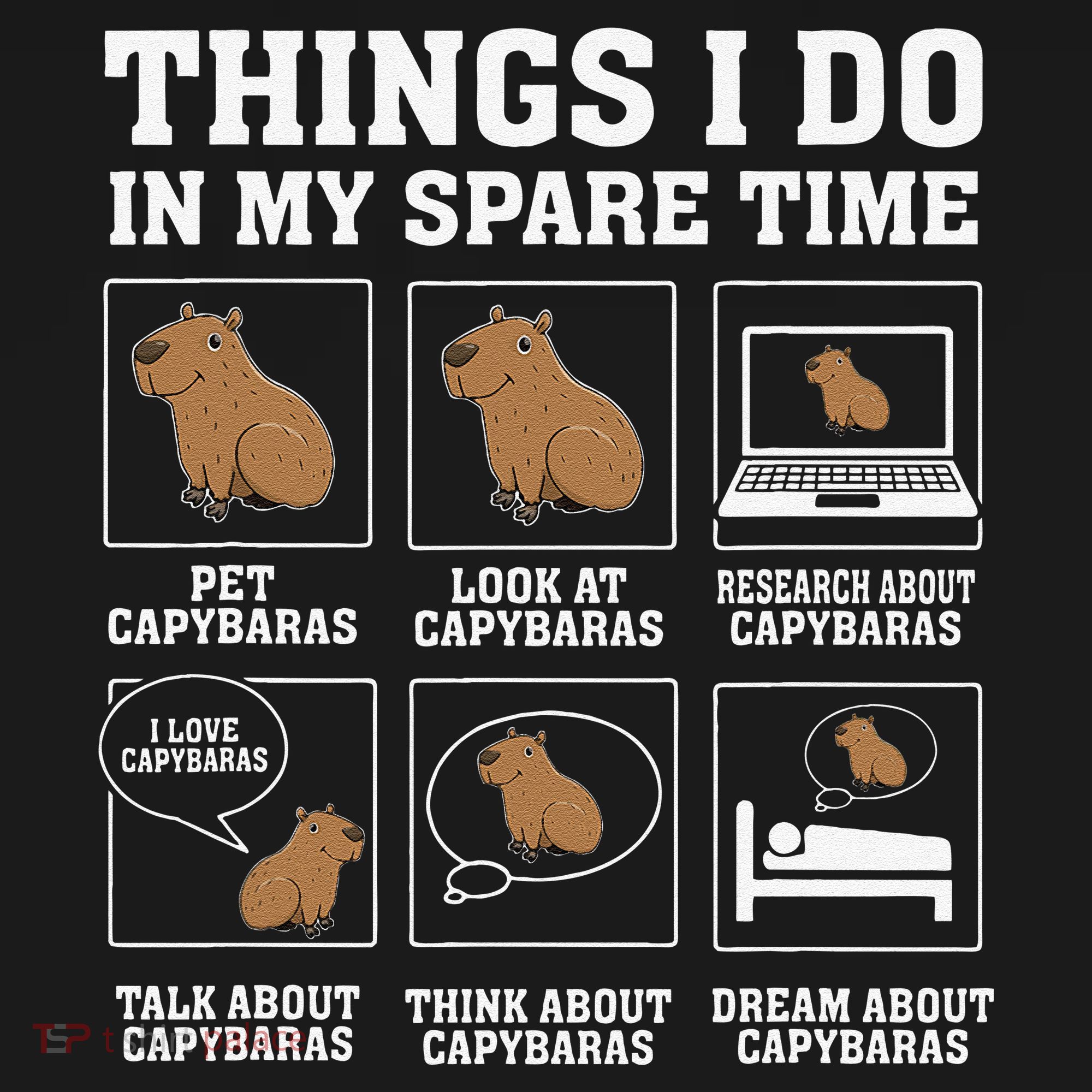 Things I Do In My Spare Time Capybara Funny Capybaras Rodent  T-Shirt