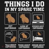 Things I Do In My Spare Time Capybara Funny Capybaras Rodent  Women's Hoodie thumb 2