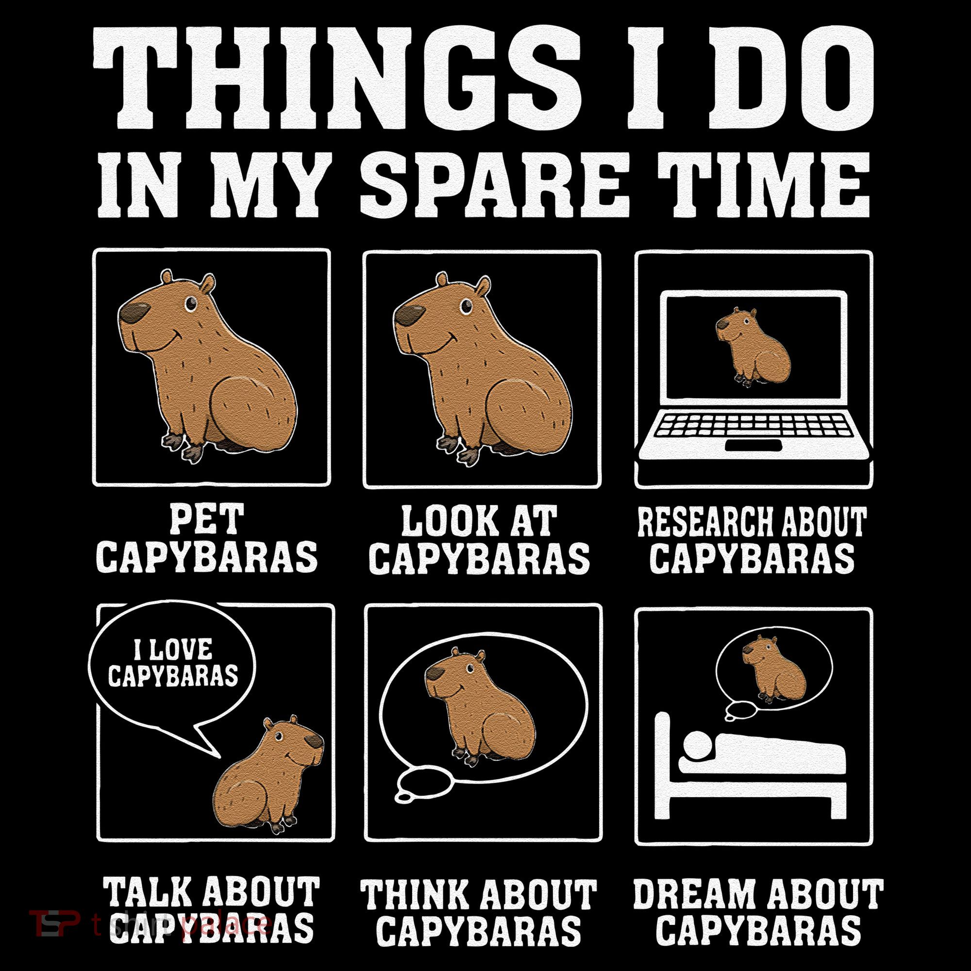 Things I Do In My Spare Time Capybara Funny Capybaras Rodent  Tank Top
