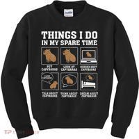 Things I Do In My Spare Time Capybara Funny Capybaras Rodent  Kids Sweatshirt thumb 0