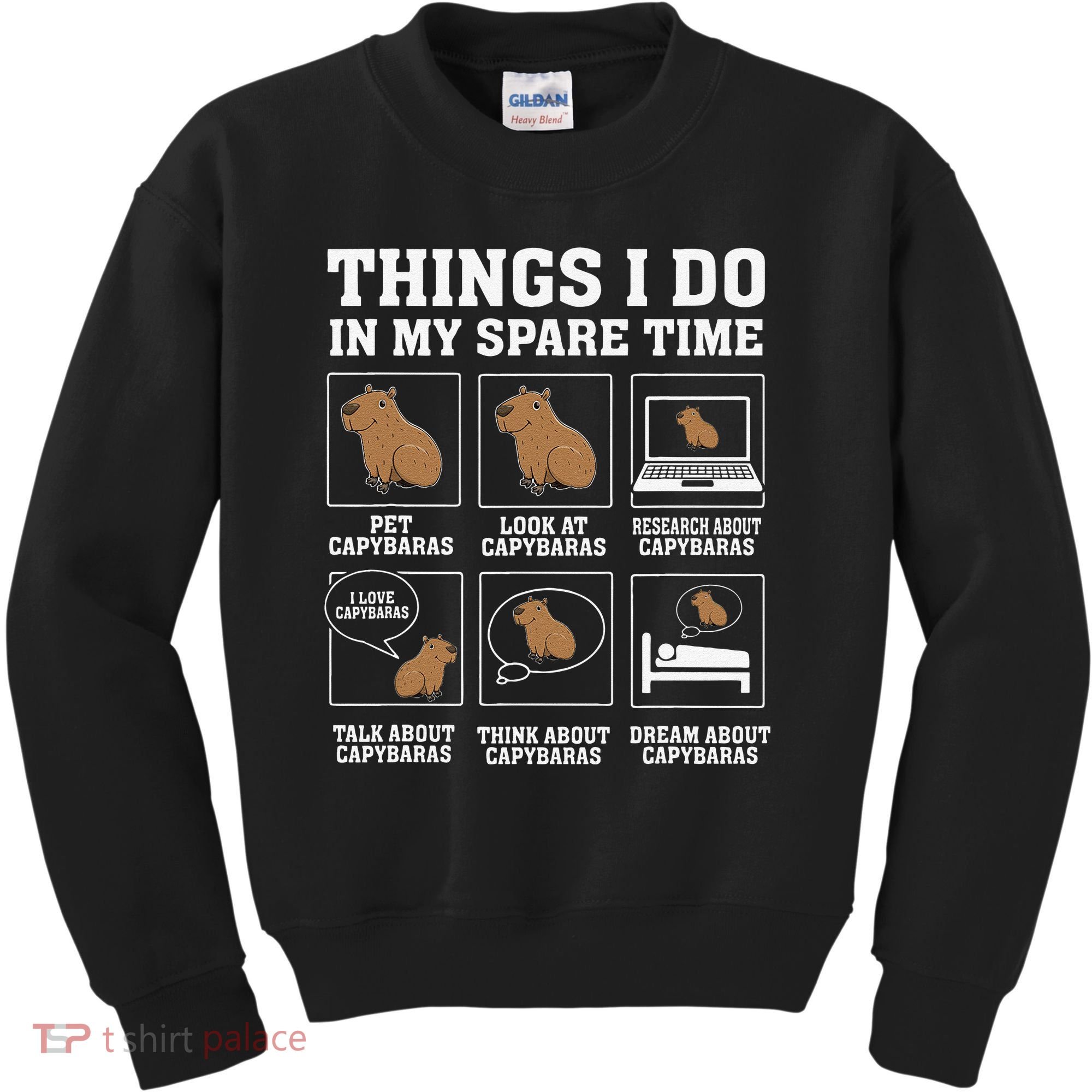 Things I Do In My Spare Time Capybara Funny Capybaras Rodent  Kids Sweatshirt