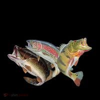 Thing I Do In My Spare Time Fishing Funny Coffee Mug thumb 5
