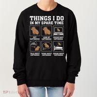 Things I Do In My Spare Time Capybara Funny Rodent Women's Sweatshirt thumb 0