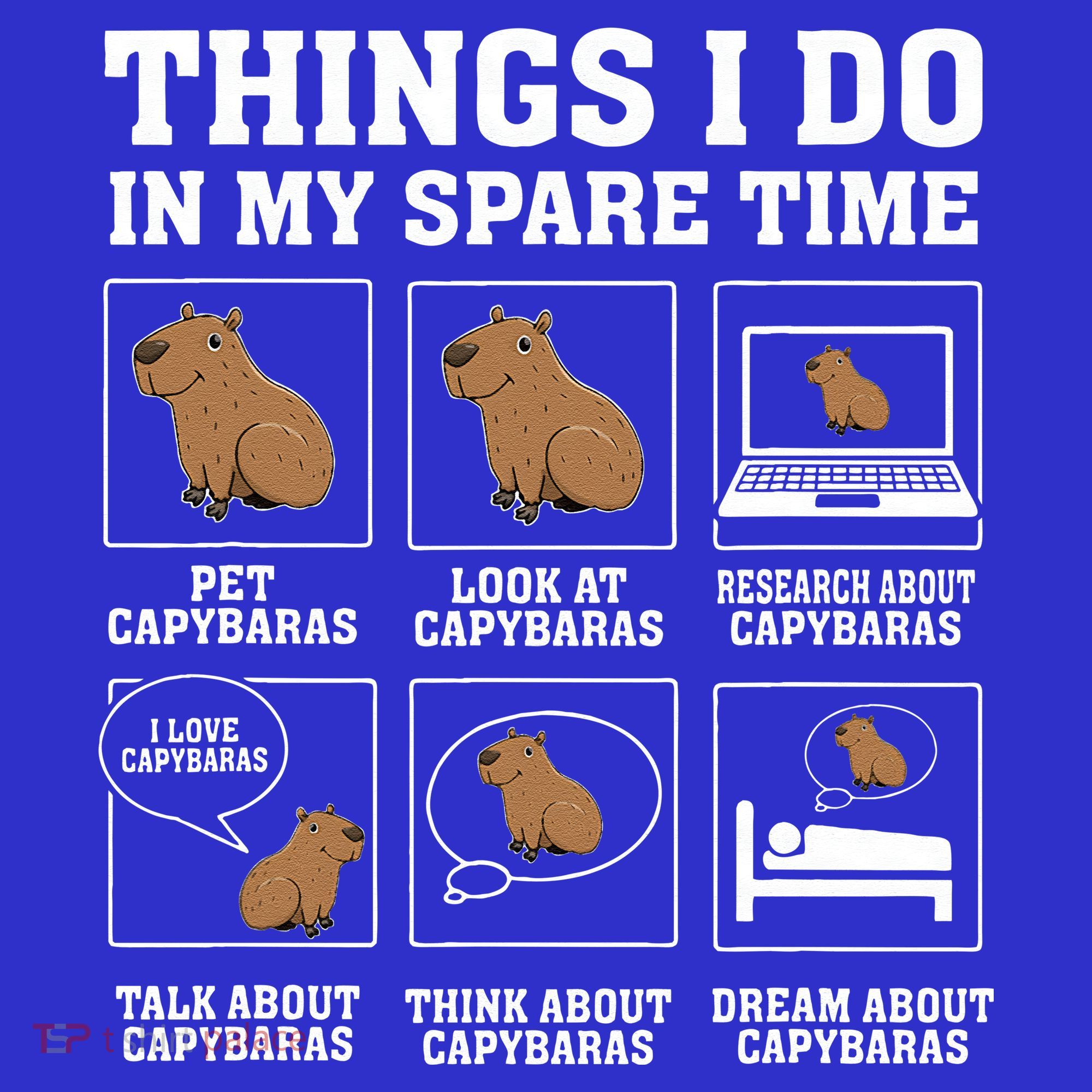 Things I Do In My Spare Time Capybara Funny Rodent Tank Top
