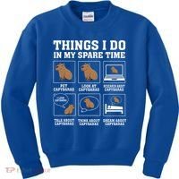 Things I Do In My Spare Time Capybara Funny Rodent Kids Sweatshirt thumb 0