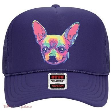 Tie Dye Chihuahua Hat