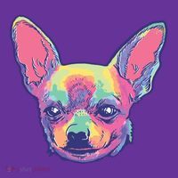 Tie Dye Chihuahua Women's T-Shirt thumb 6