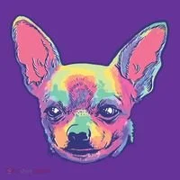 Tie Dye Chihuahua Women's T-Shirt thumb 6