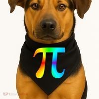 Tie Dye Pi USA-Made Doggie Bandana thumb 1