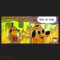 This Is Fine Meme Shirt Hat thumb 2