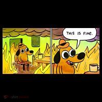 This Is Fine Meme Shirt Kids T-Shirt thumb 4