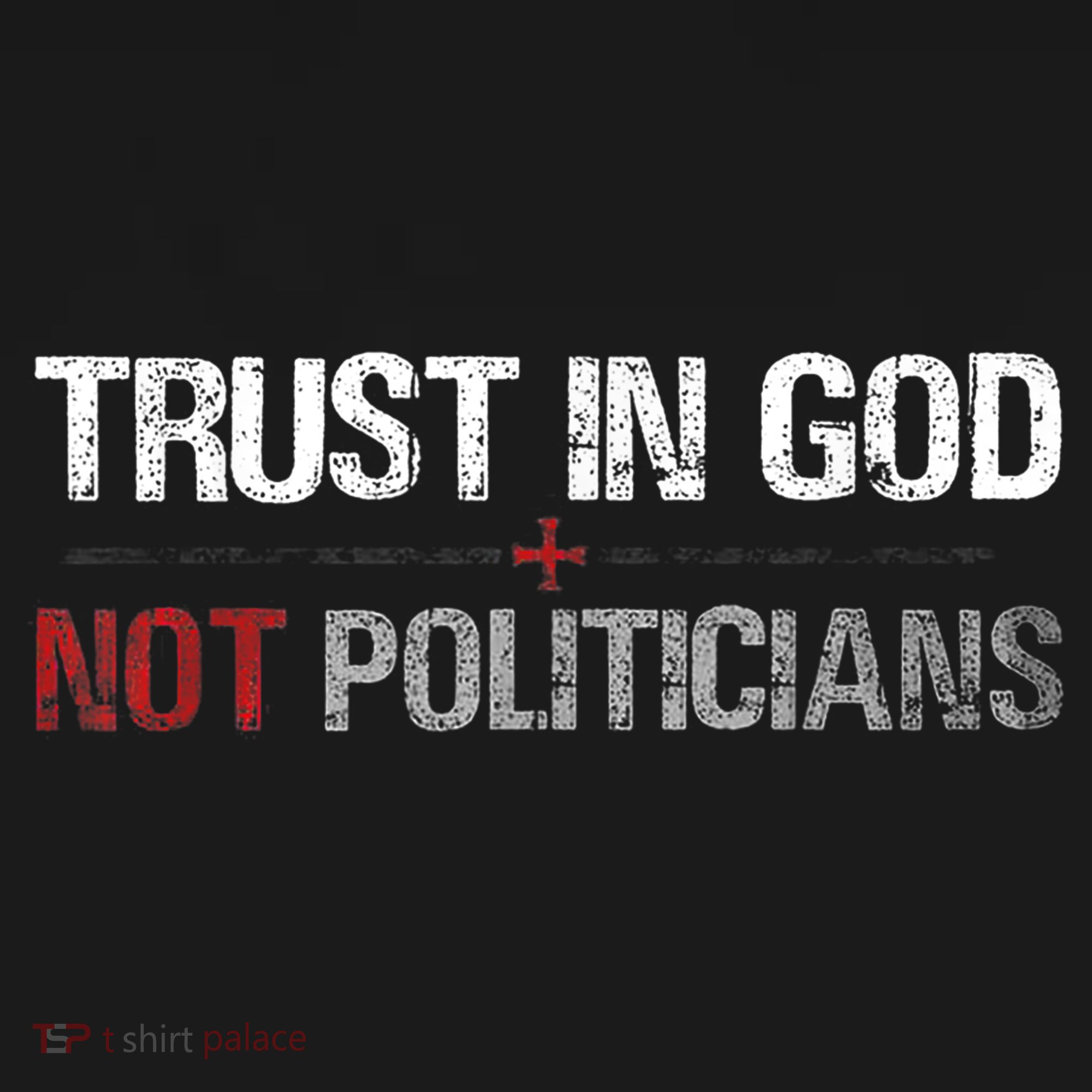 Trust In God Not Politicians Ornament