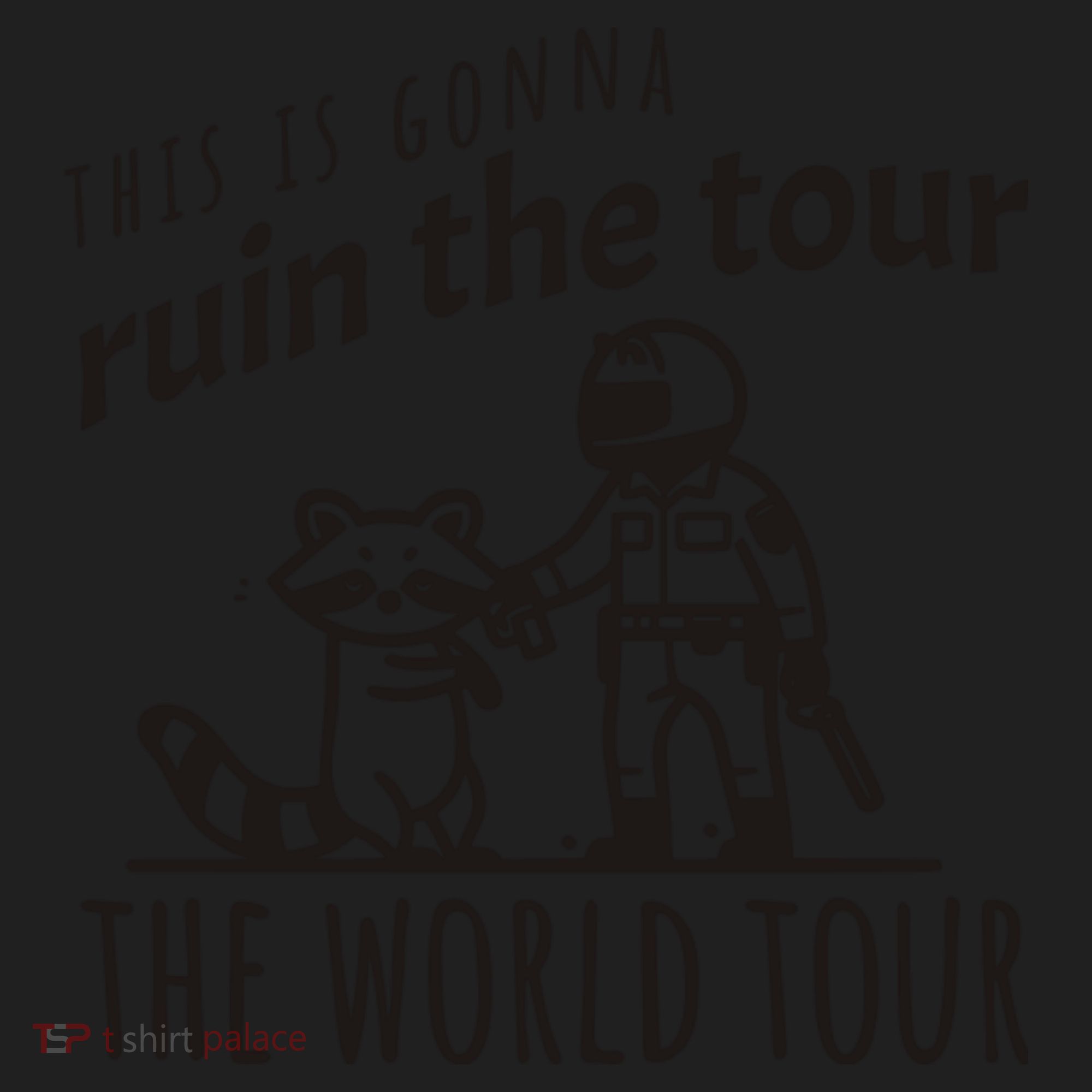 This Is Gonna Ruin The The World Raccoon Ladies Heavyweight Boxy Pullover Hoodie