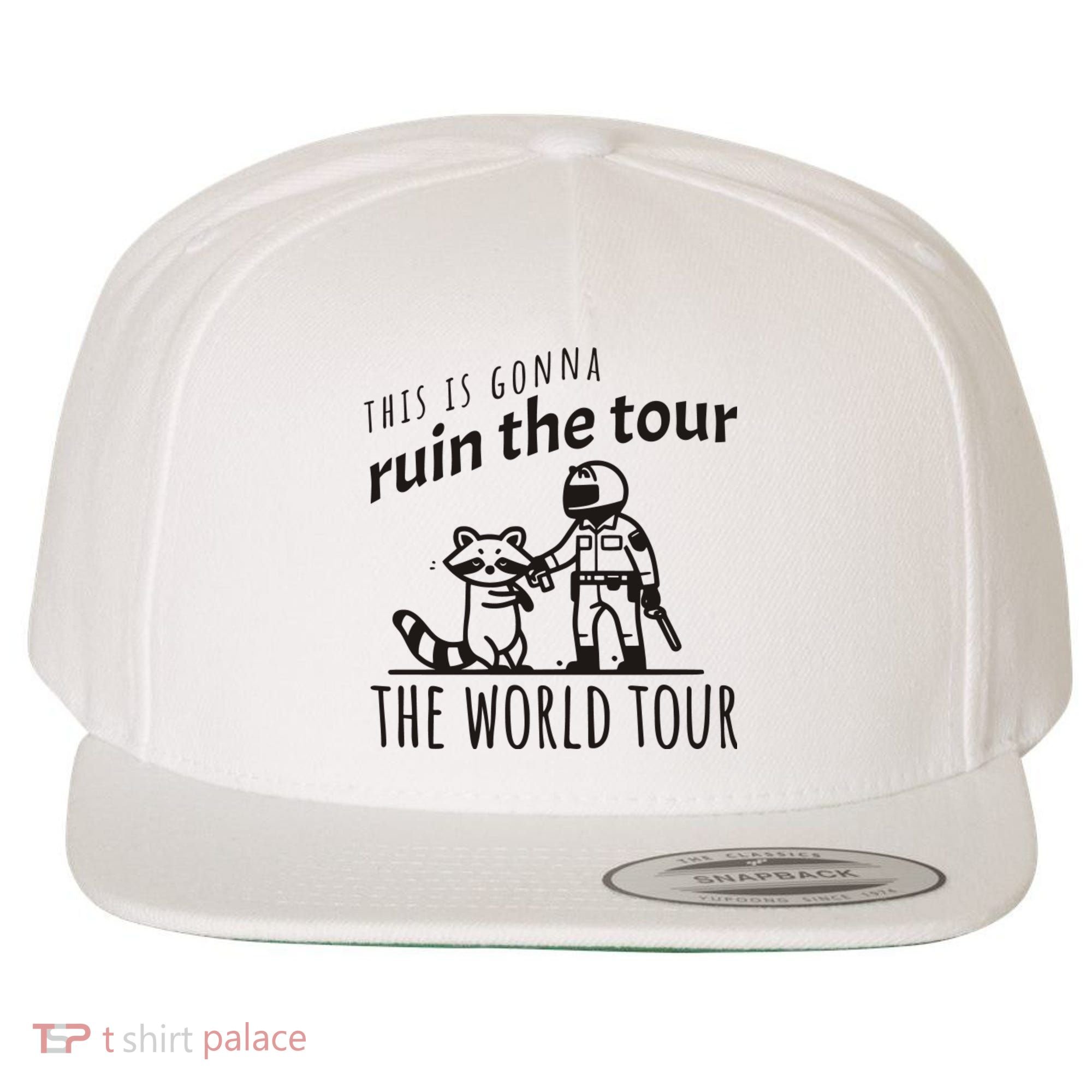 This Is Gonna Ruin The The World Raccoon Wool Snapback Cap
