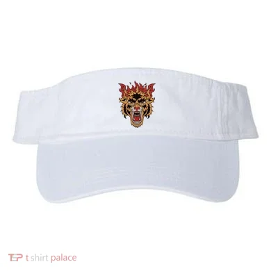 Visor