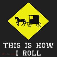 This Is How I Roll Amish Horse & Buggy Lancaster Pa. Hat thumb 2