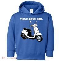 This Is How I Roll Scooter Toddler Hoodie thumb 0