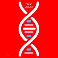 Transgender It's In My DNA Pride Month Santa Hat thumb 1