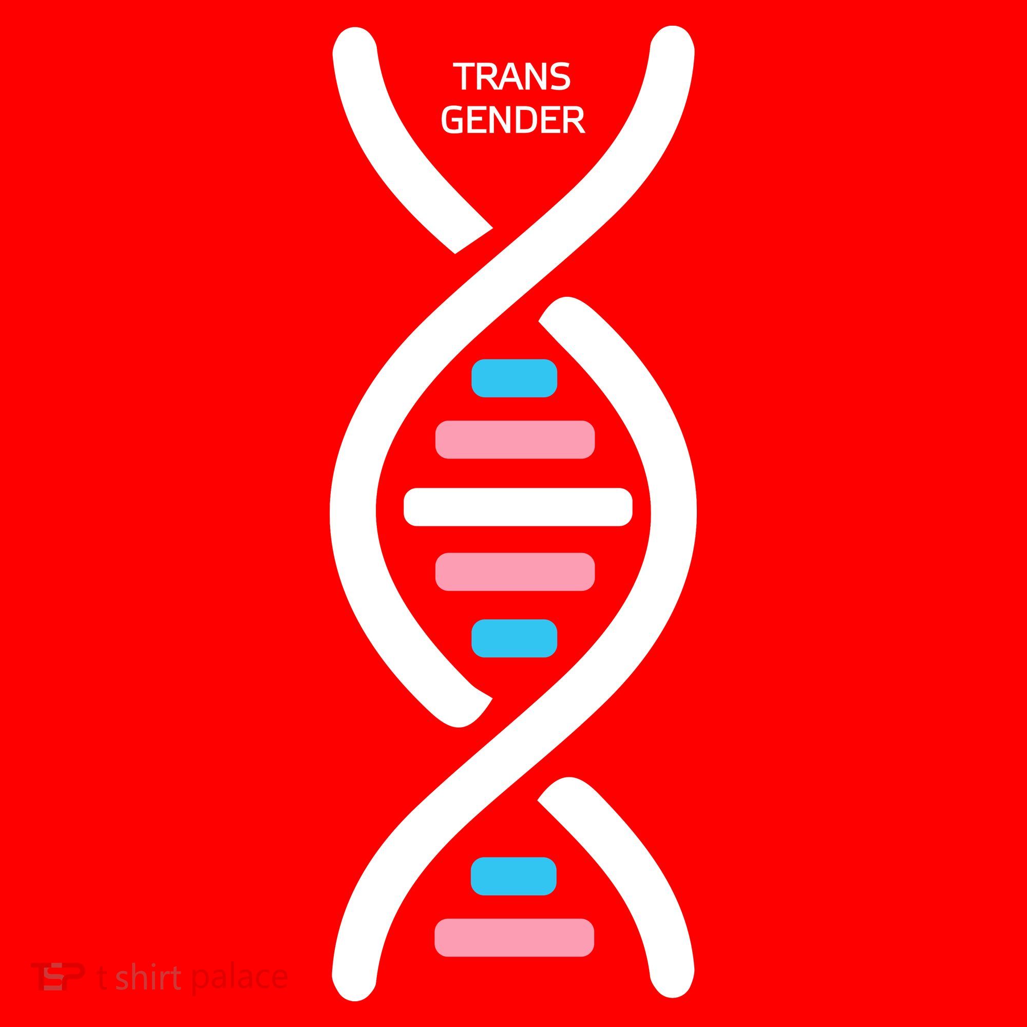 Transgender It's In My DNA Pride Month Santa Hat