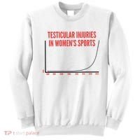 Testicular Injuries In Sports Sweatshirt thumb 0