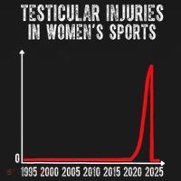 Testicular Injuries In Womens Sports Hoodie thumb 2
