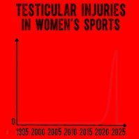 Testicular Injuries In Womens Sports Santa Hat thumb 1