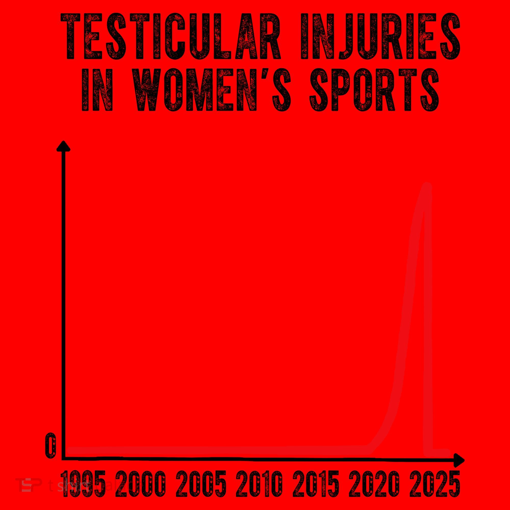 Testicular Injuries In Womens Sports Santa Hat