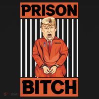 Trump In Jail | PARODY Prison Bitch Women's Hoodie thumb 2