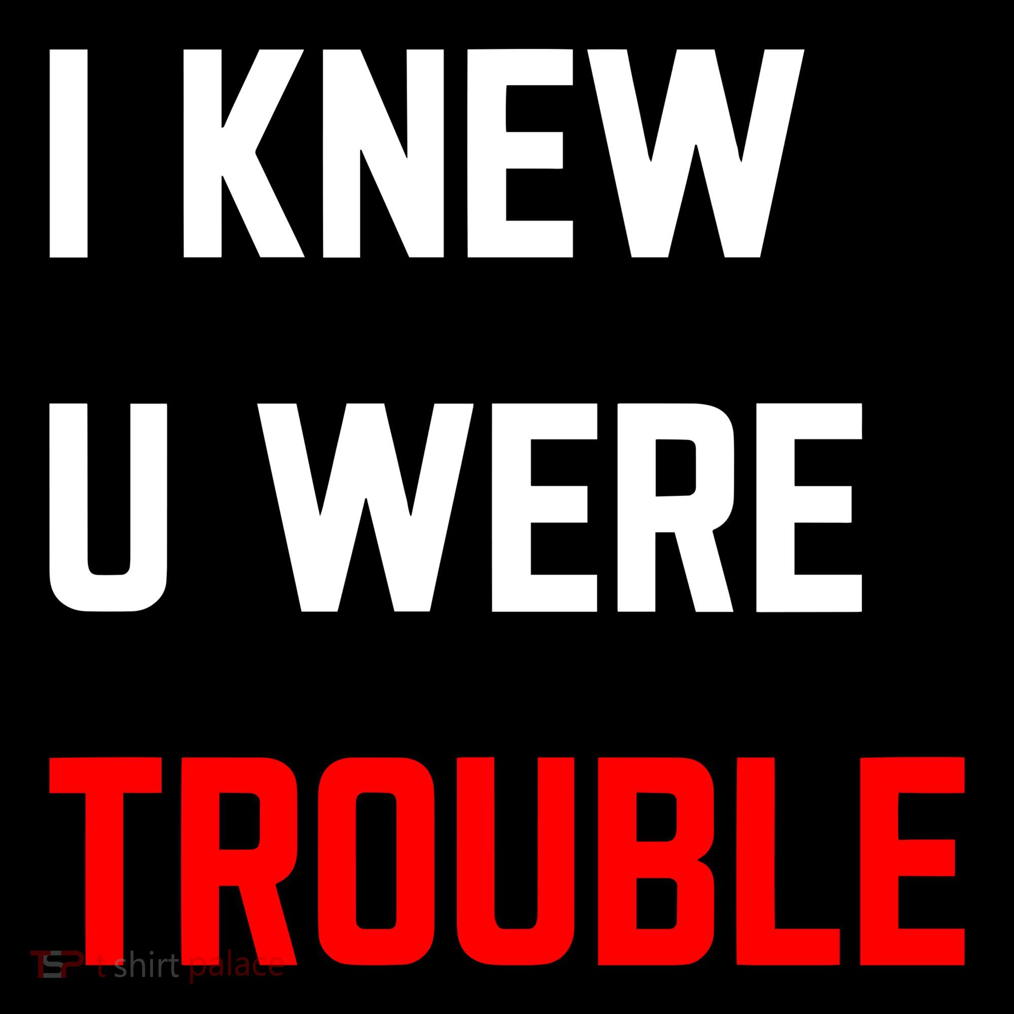 Taylor I Knew U Were Trouble Women's Hoodie