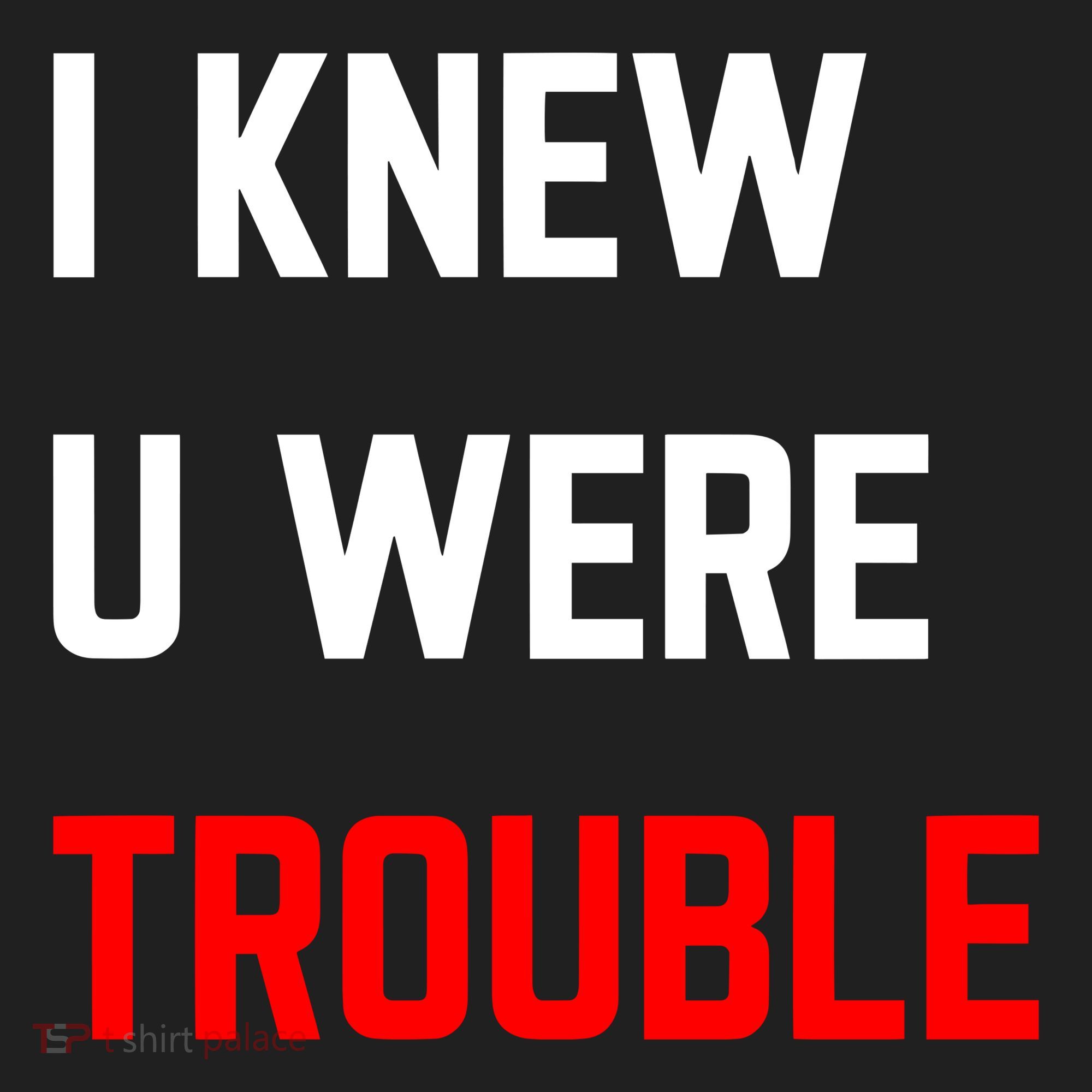Taylor I Knew U Were Trouble Tumbler