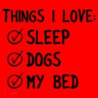 Things I Love Sleep Dogs My Bed Santa Hat thumb 1