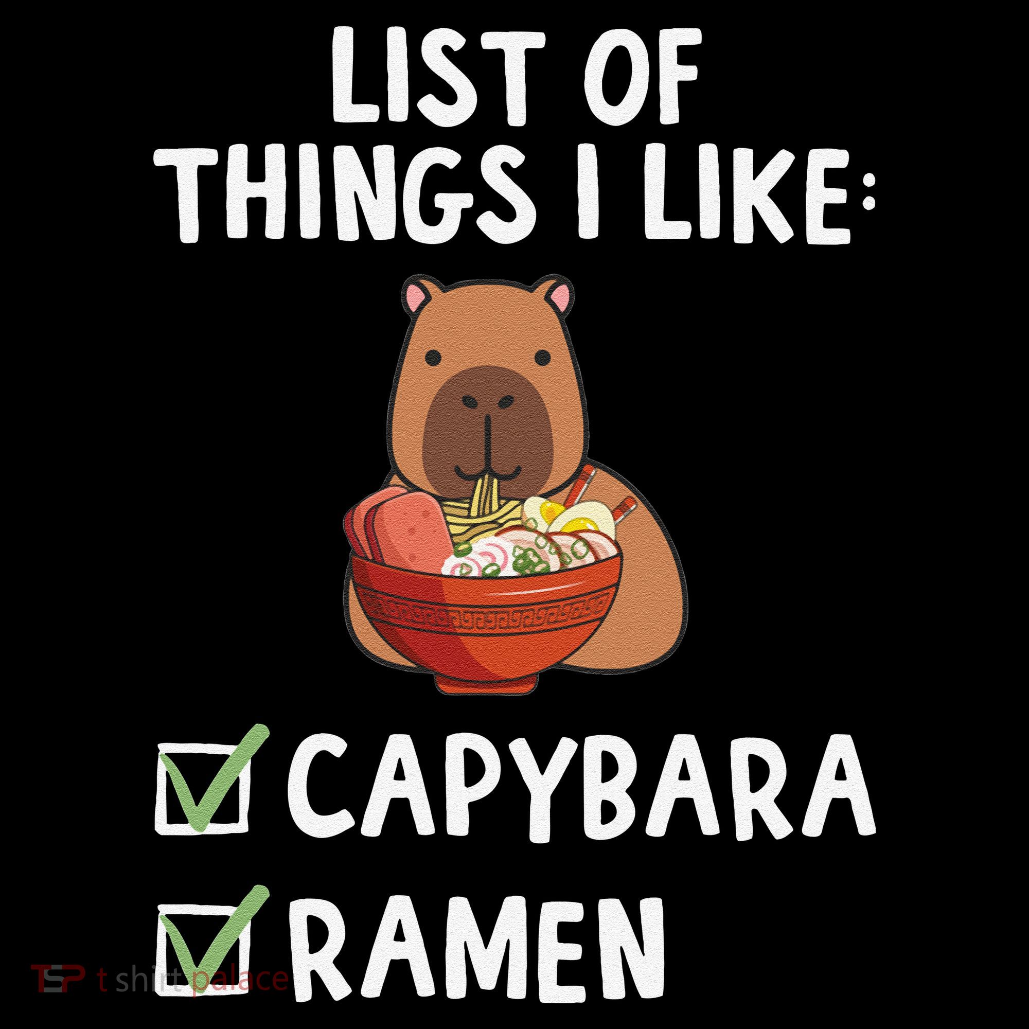 Things I Like Capybara Lover Capybara Girl Capybara Boy Women's Hoodie