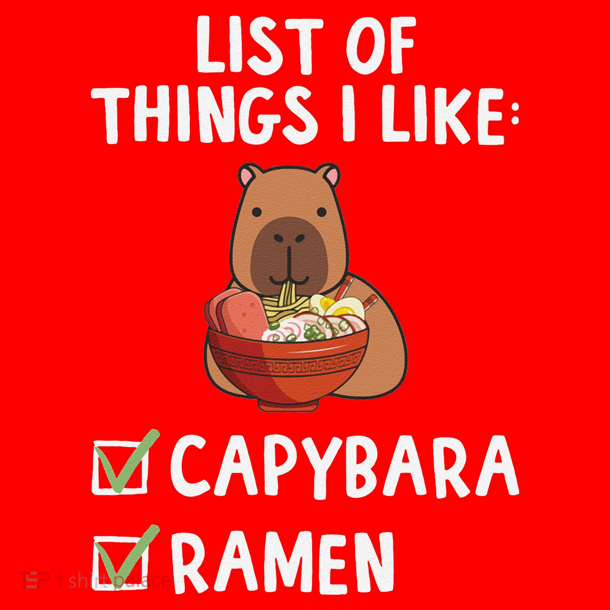 Things I Like Capybara Lover Capybara Girl Capybara Boy Santa Hat