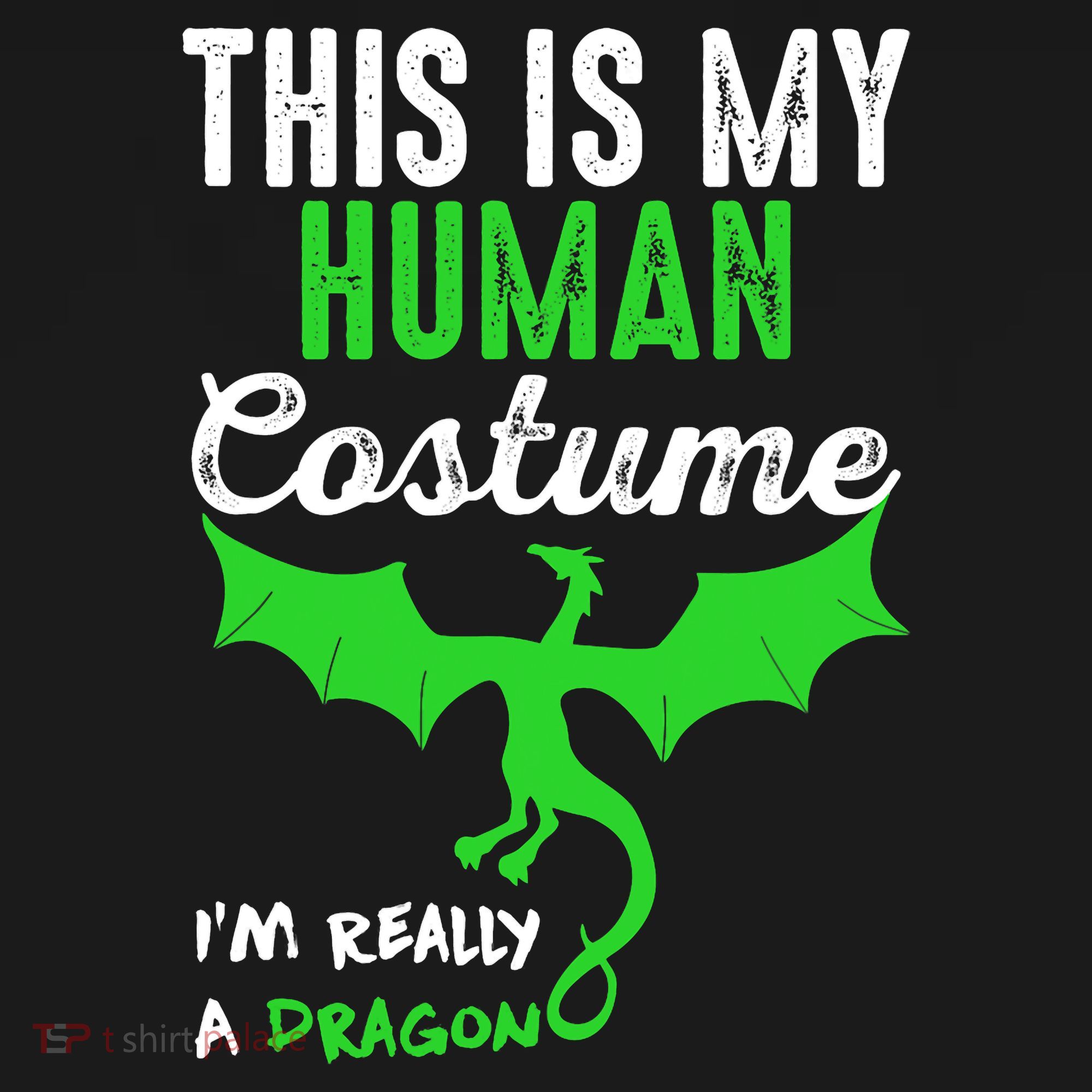 This Is My Human Costume Im Really A Dragon Halloween Kids Sweatshirt