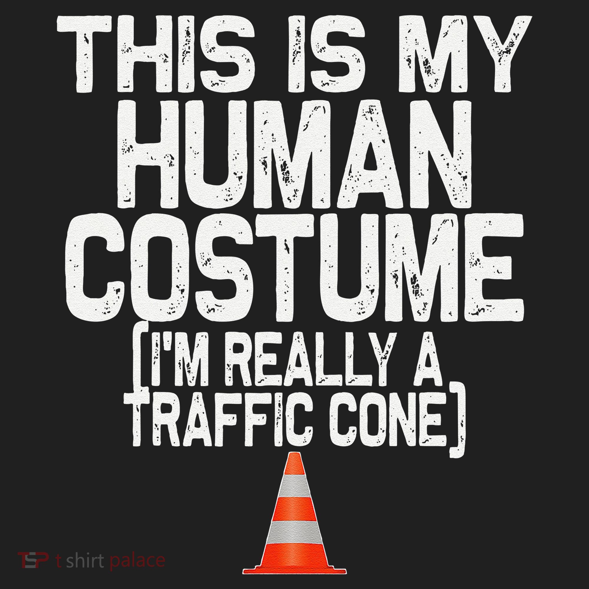 This Is My Human Costume Im Really A Traffic Cone Halloween Beanie
