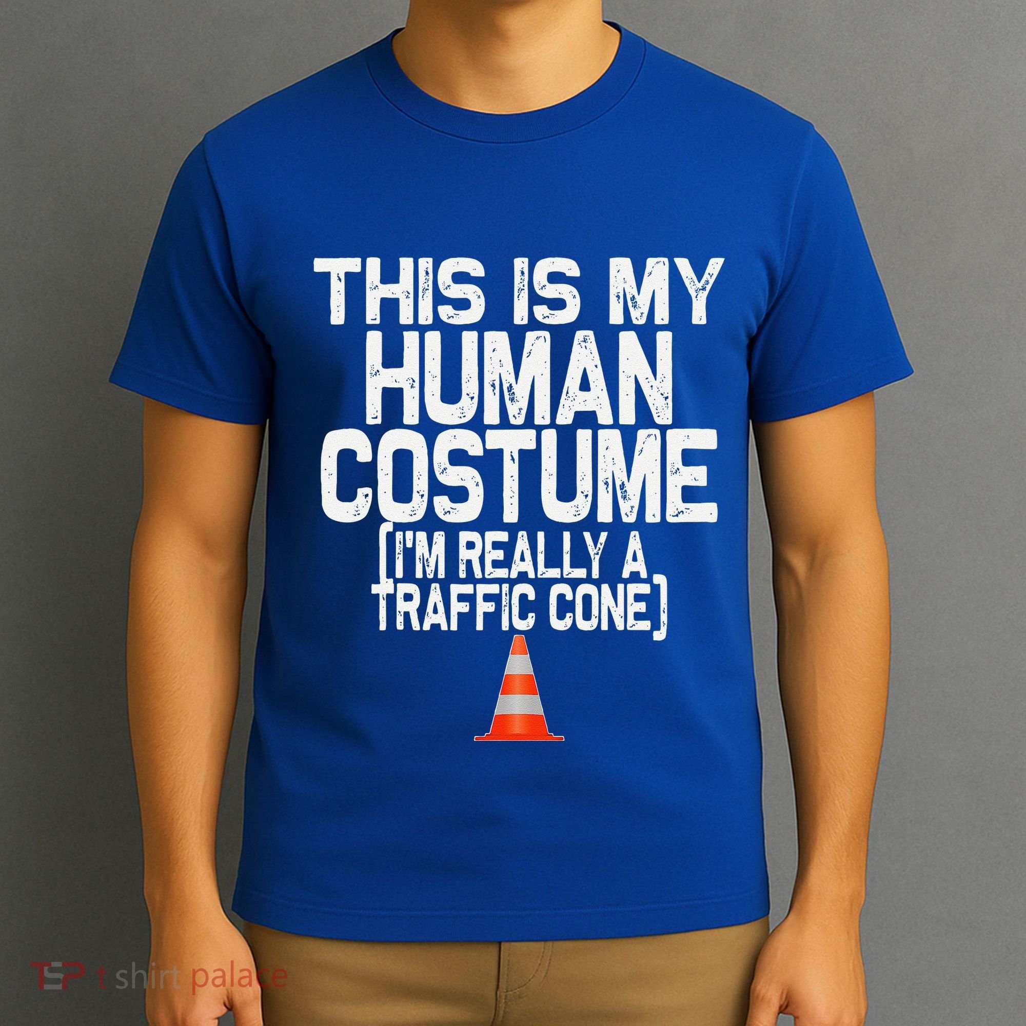 This Is My Human Costume Im Really A Traffic Cone Halloween T-Shirt