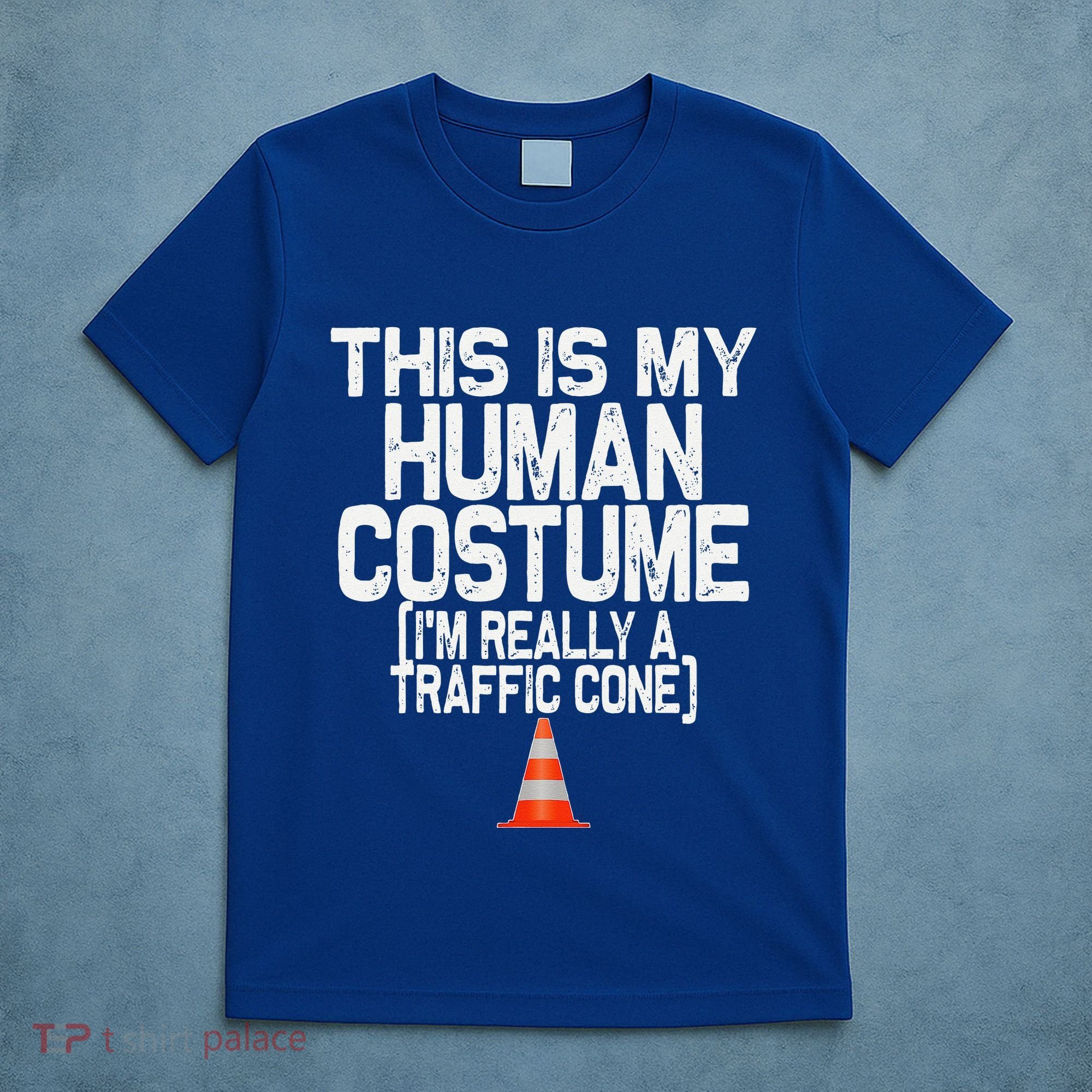 This Is My Human Costume Im Really A Traffic Cone Halloween T-Shirt