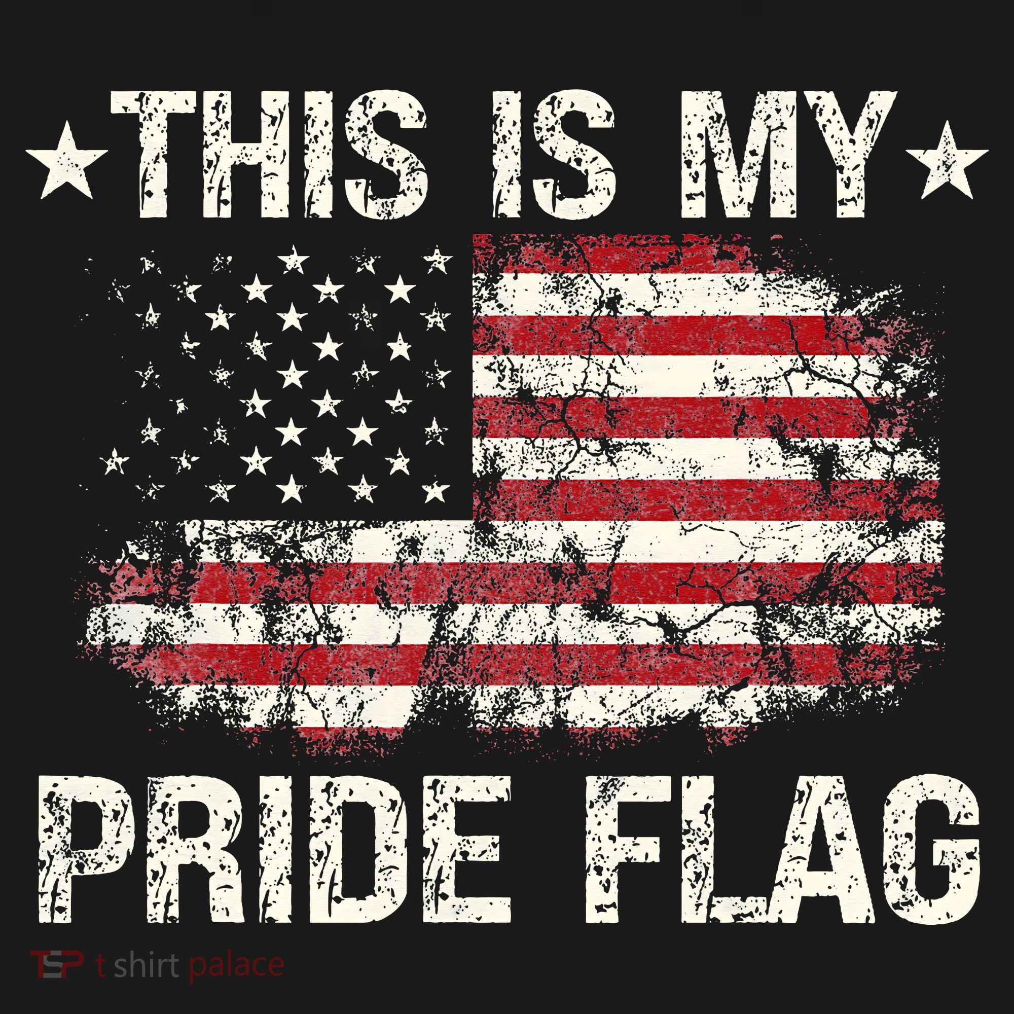 This Is My Pride Flag USA American 4th of July Patriotic T-Shirt
