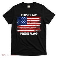 This Is My Pride Flag USA American T-Shirt thumb 0