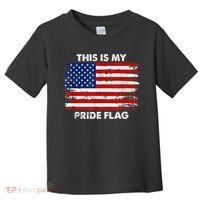 This Is My Pride Flag USA American Toddler T-Shirt thumb 0