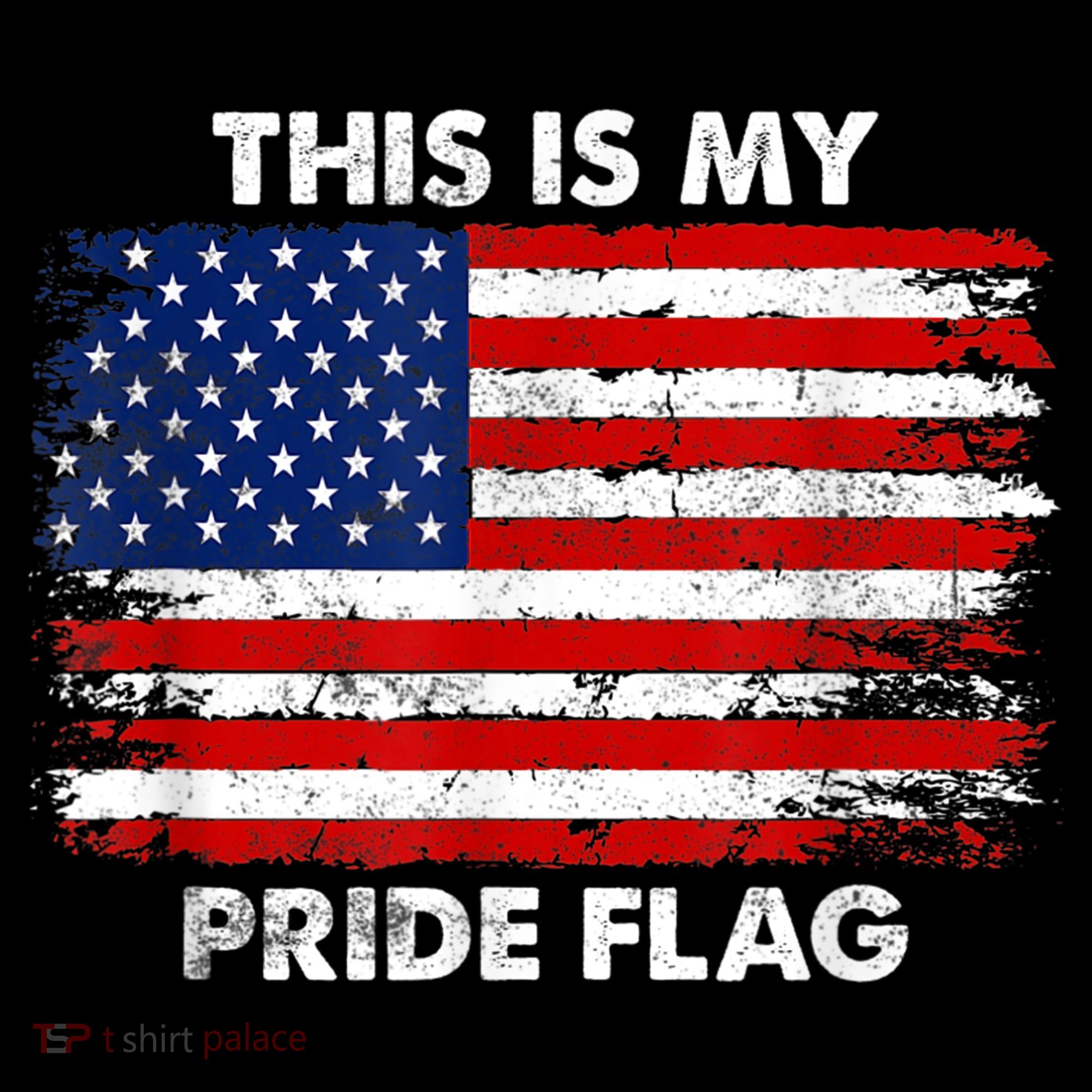 This Is My Pride Flag USA American Women's T-Shirt