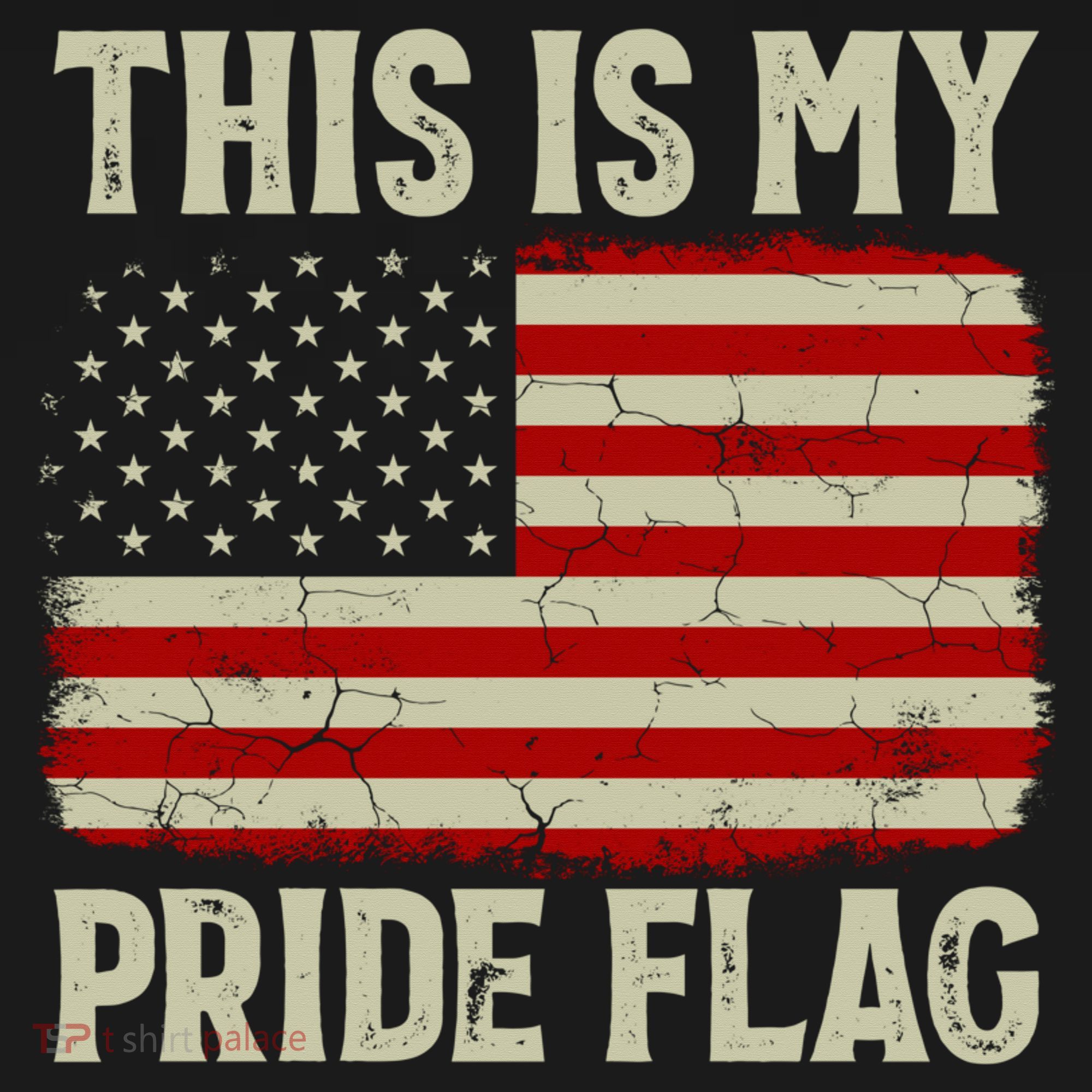 This Is My Pride Flag Patriotic American Flag, 4th of July  Women's Tank Top