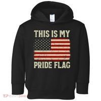 This Is My Pride Flag Patriotic American Flag, 4th of July  Toddler Hoodie thumb 0
