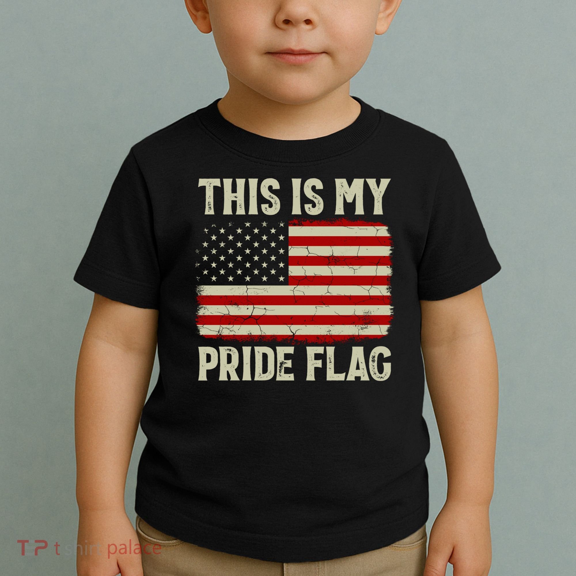 This Is My Pride Flag Patriotic American Flag, 4th of July  Toddler T-Shirt