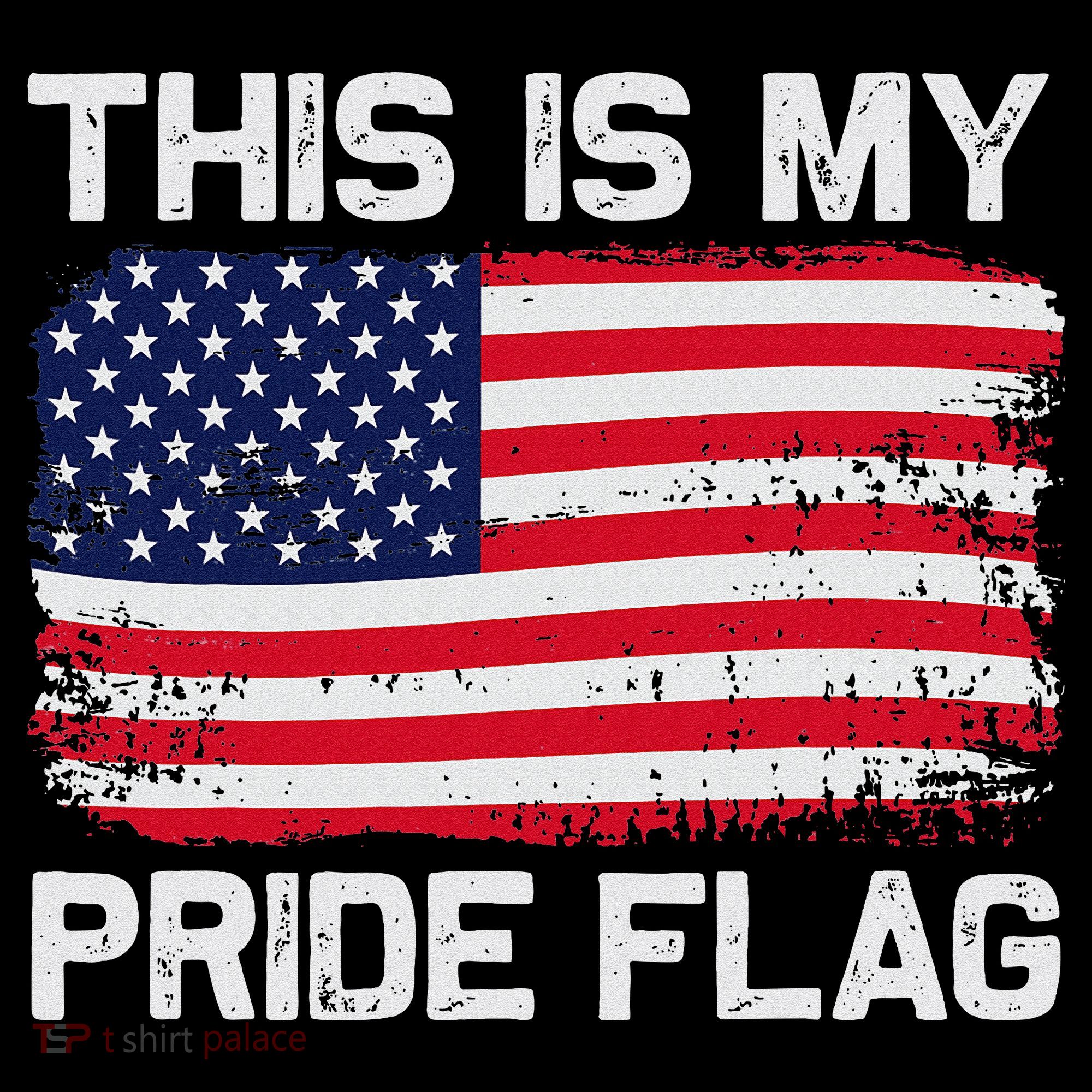 This Is My Pride Flag Sweatshirt