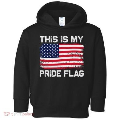 This Is My Pride Flag Toddler Hoodie