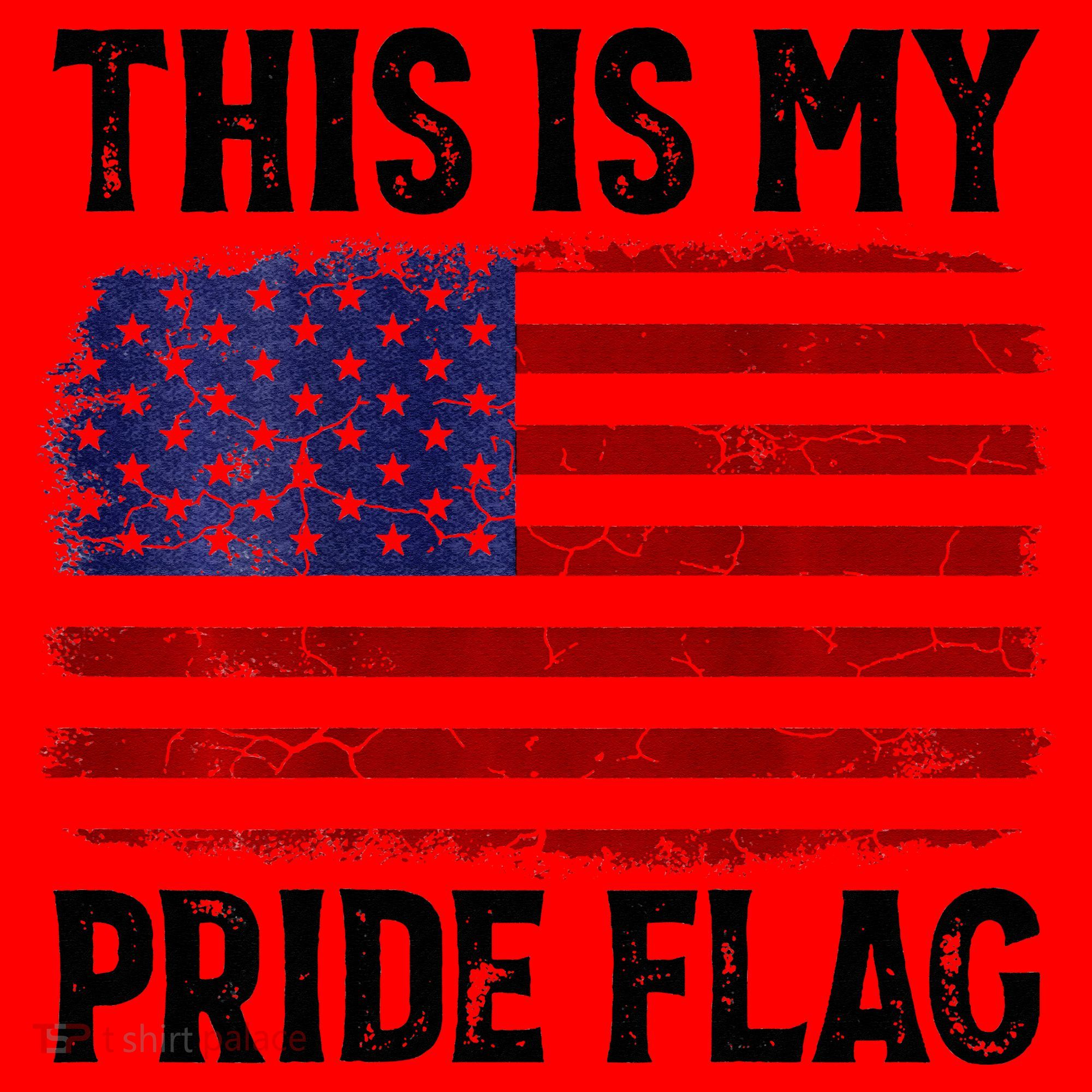 This Is My Pride Flag US Flag, 4th Of July Patriotic Santa Hat