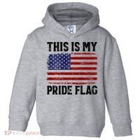 This Is My Pride Flag US Flag, 4th Of July Patriotic Toddler Hoodie thumb 0