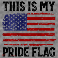 This Is My Pride Flag US Flag, 4th Of July Patriotic Toddler Hoodie thumb 2
