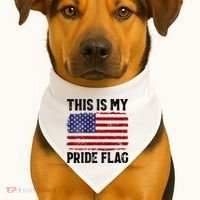 This Is My Pride Flag US Flag, 4th Of July Patriotic USA-Made Doggie Bandana thumb 1